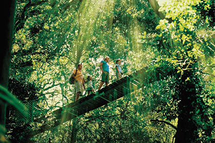 Gold Coast And Brisbane Day Tour For You Gold Coast And Brisbane Day Tour For You